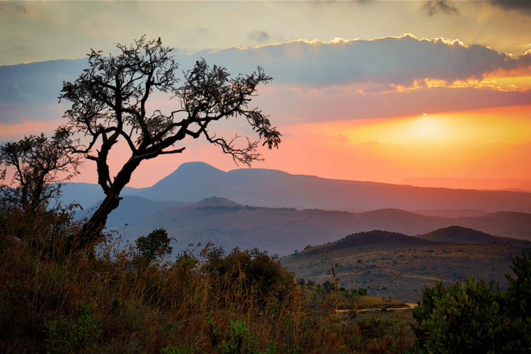 3 Day Radisson Kruger Safari With Private Game Drives